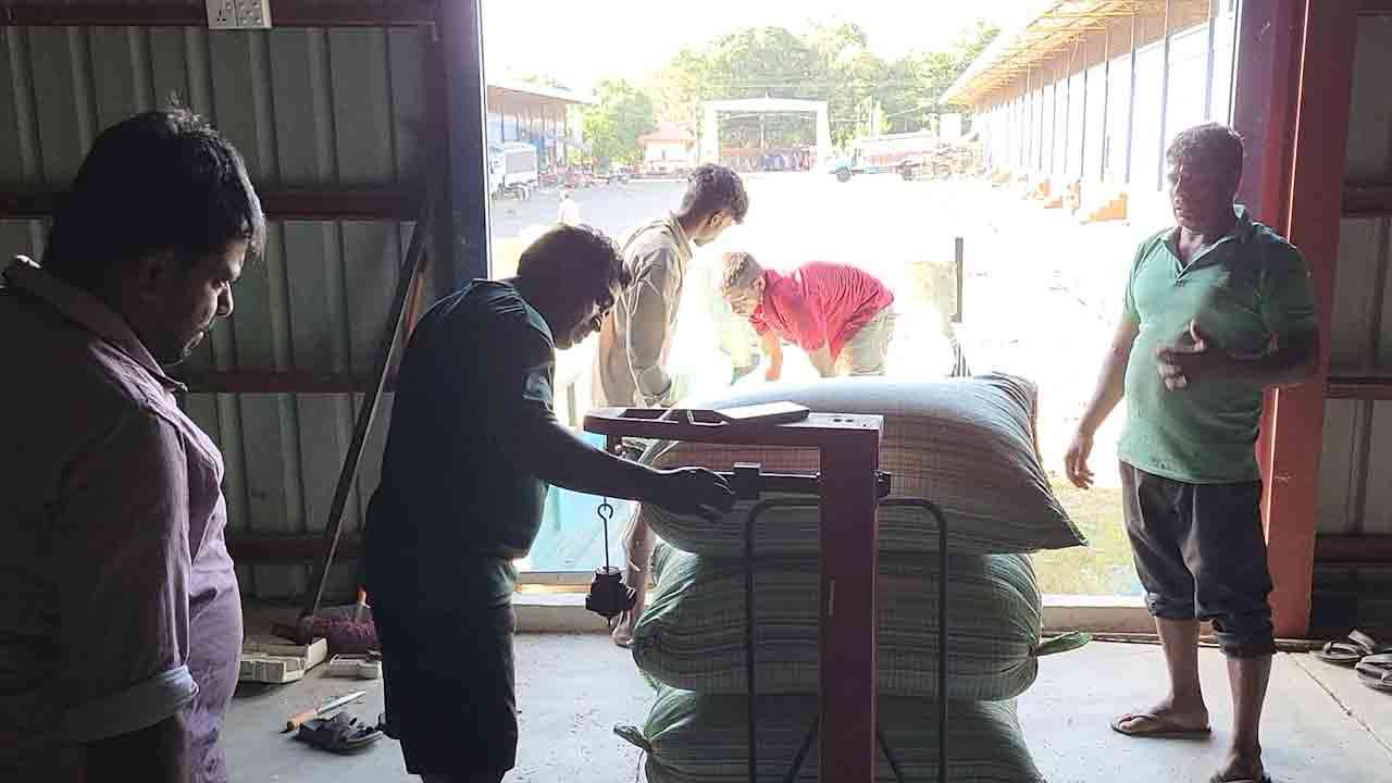 நெல் சந்தைப்படுத்தல் சபைக்கு நெல் வழங்குதல் ஆரம்பம்