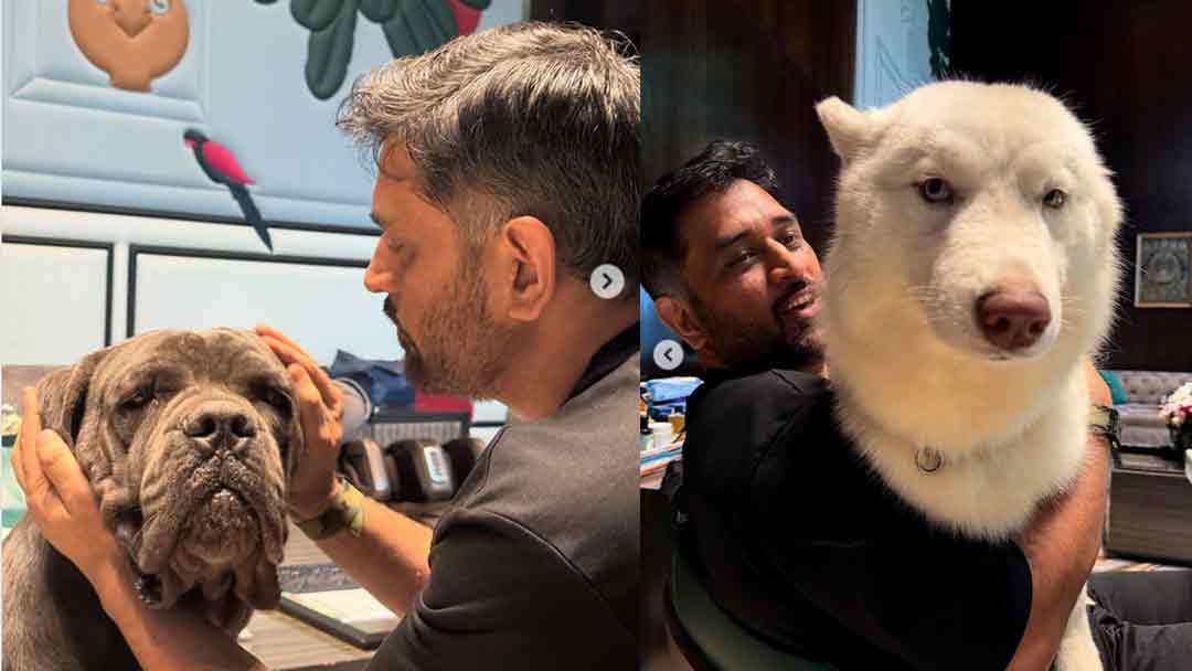 வளர்ப்பு நாய்களுடன் கொஞ்சி விளையாடும் தோனி!