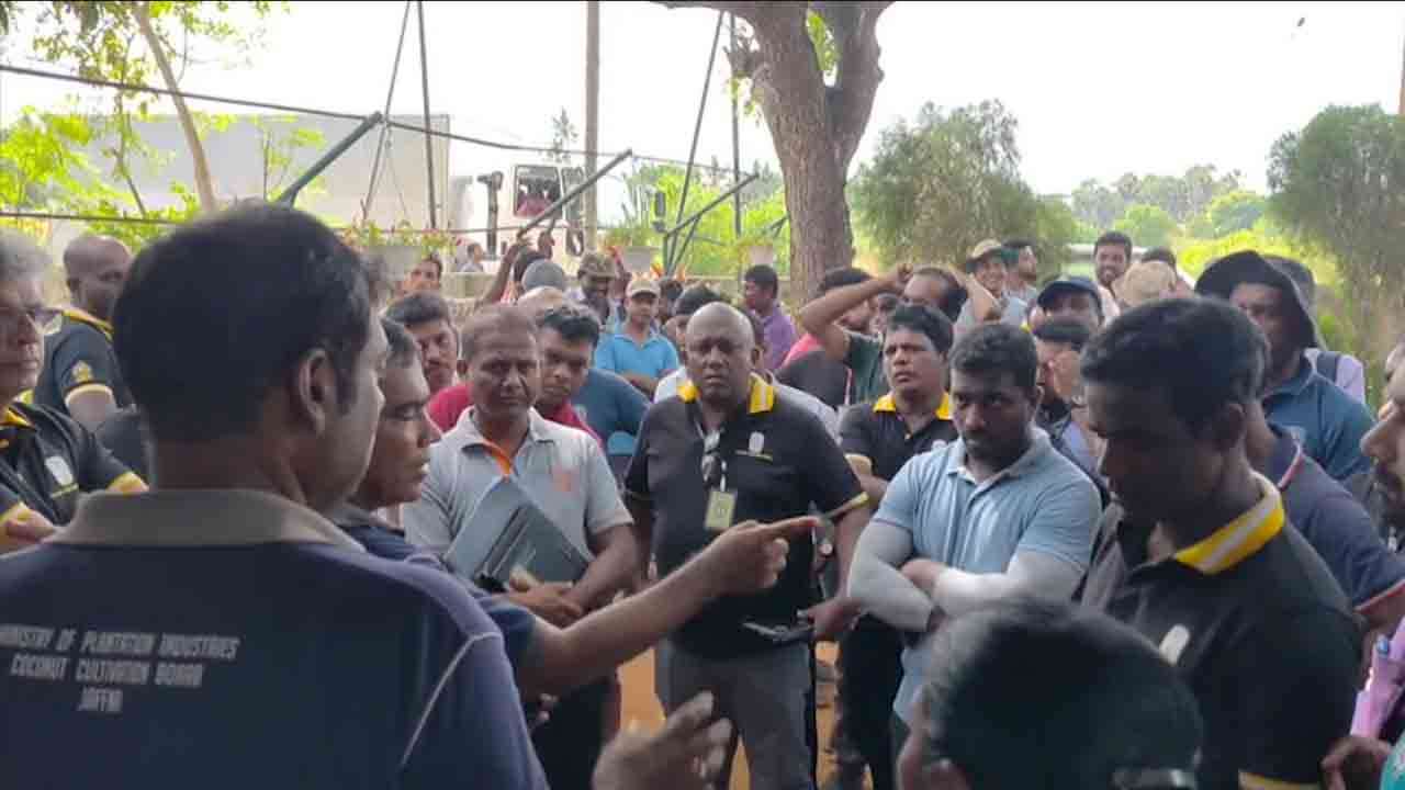 வெண்ணிற ஈயினைக் கட்டுப்படுத்தும் வேலை திட்டம்