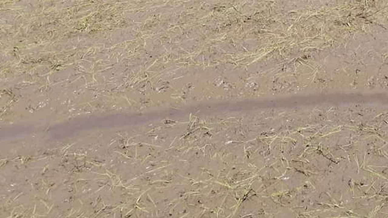 வயல்நிலங்களில் தேங்கியுள்ள மணலை அகற்ற அனுமதி