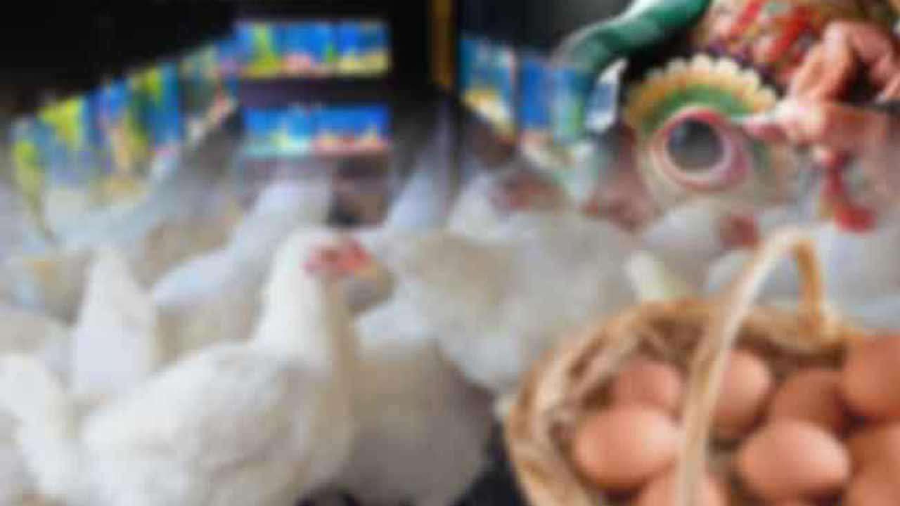 07 புதிய ஆலோசனைக் குழுக்களை அமைக்க அமைச்சரவை அனுமதி