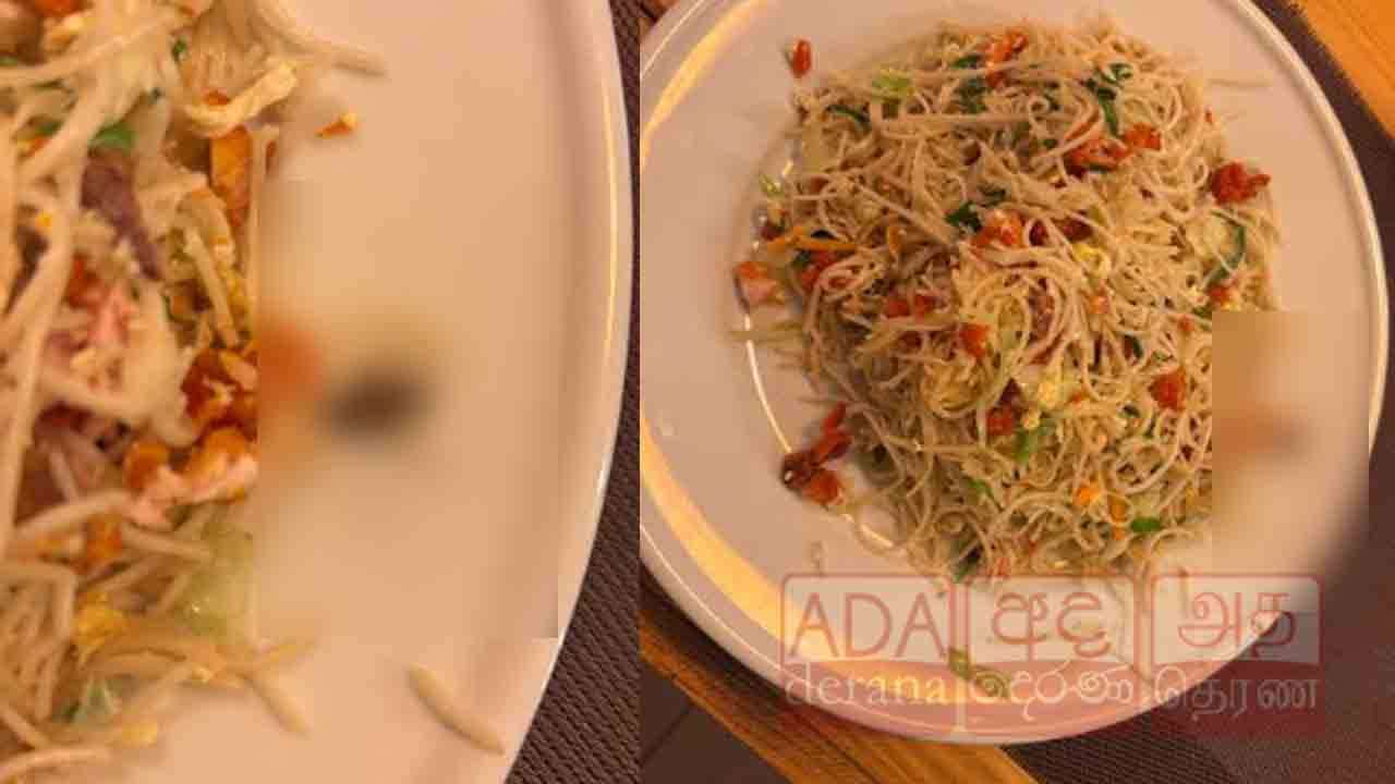 யாழில் ஹோட்டல் ஒன்றில் கரப்பான் பூச்சியுடன் வழங்கப்பட்ட நூடில்ஸ்!