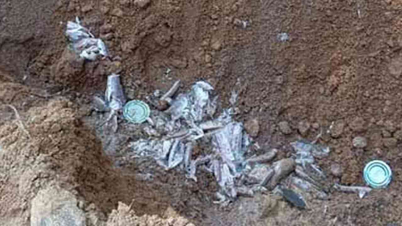 மனித பாவனைக்கு உதவாத 2,447 டின் மீன்கள் அழிப்பு