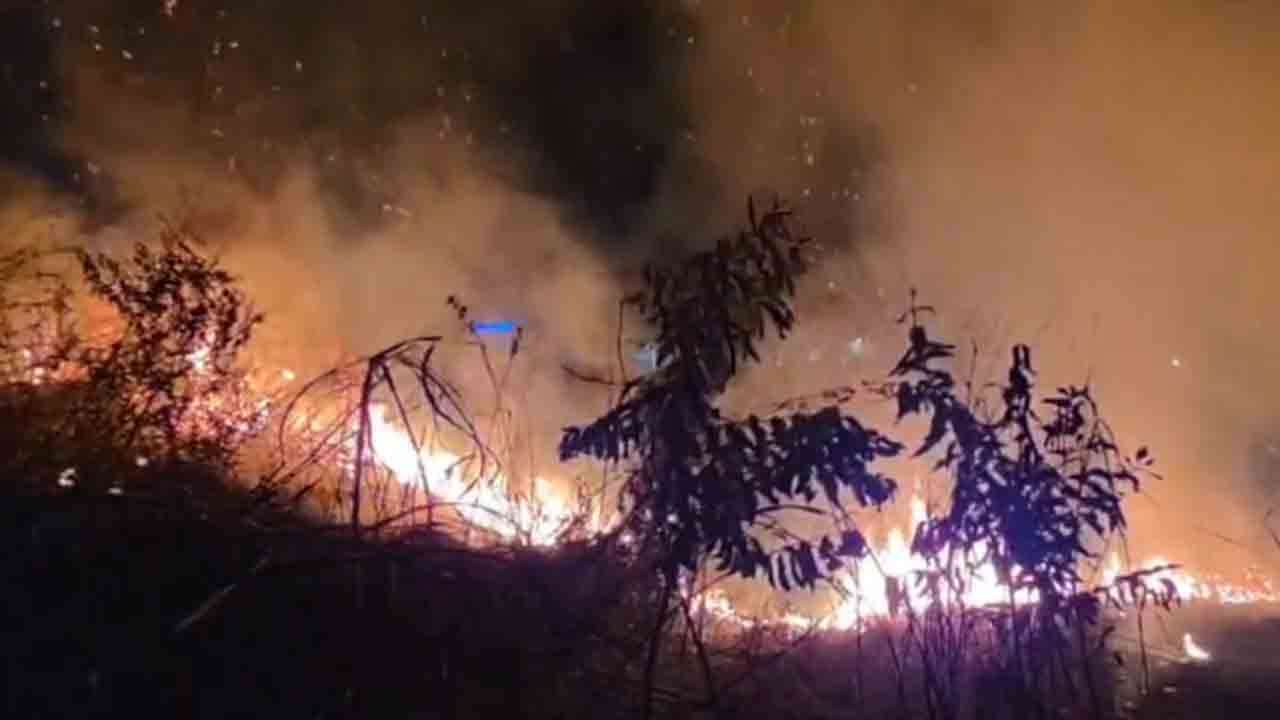 ஹட்டன் மல்லியைப்பூ வனப்பகுதி தீக்கிரை!