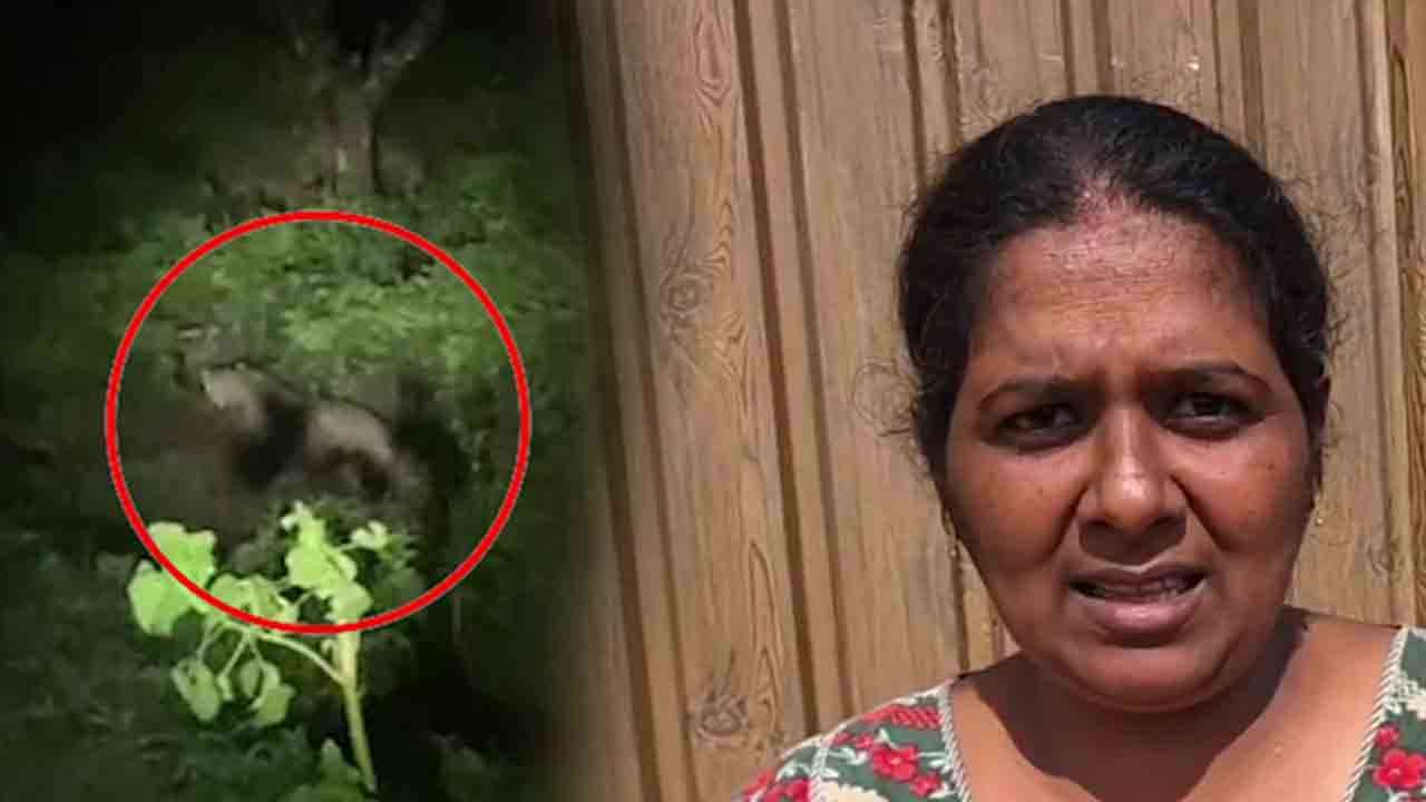 ஹட்டன் குடாகமவில் சிறுத்தை நடமாட்டம்