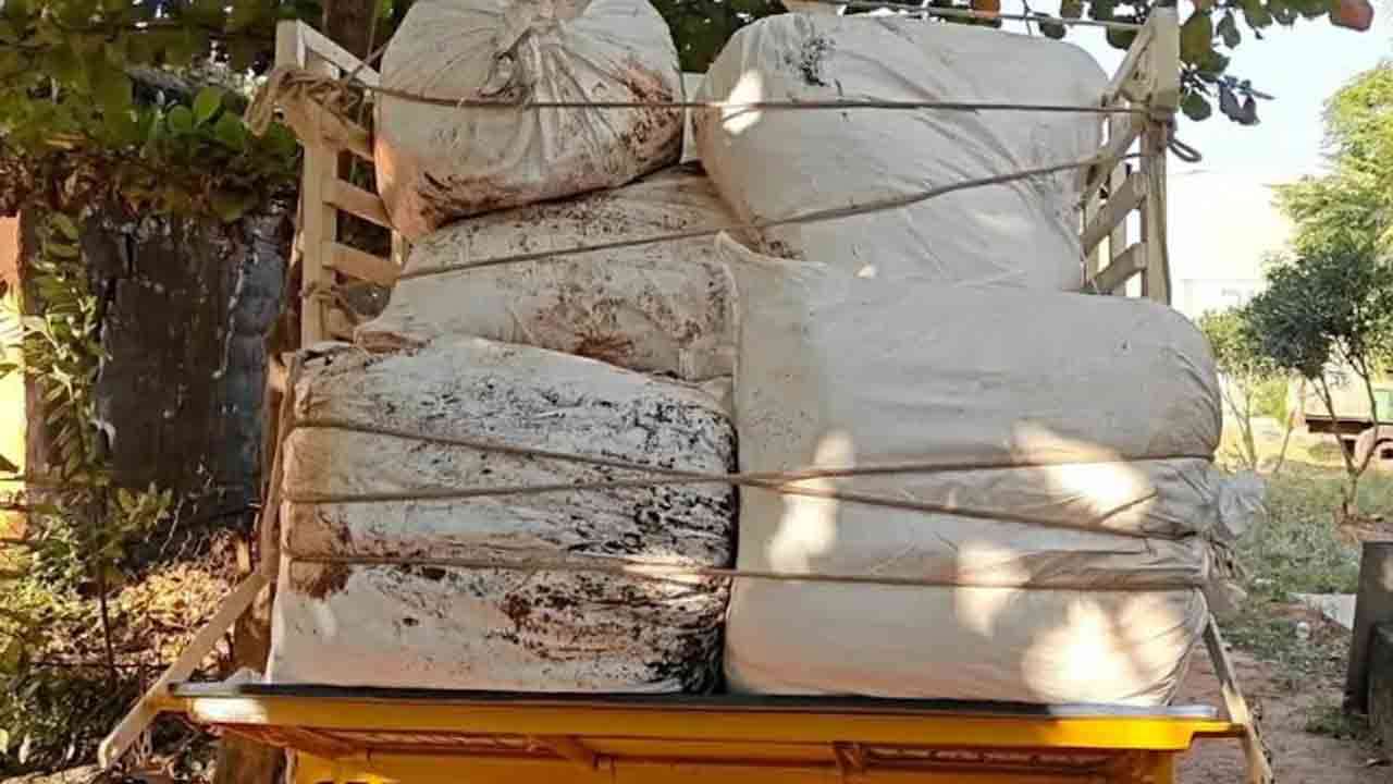  இலங்கைக்கு கடத்த முயன்ற 1600 கிலோ பீடி இலைகள் பறிமுதல்