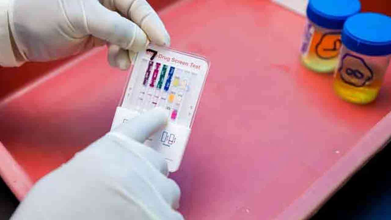 போதைப்பொருள் பயன்படுத்திய 480 சாரதிகள் கைது