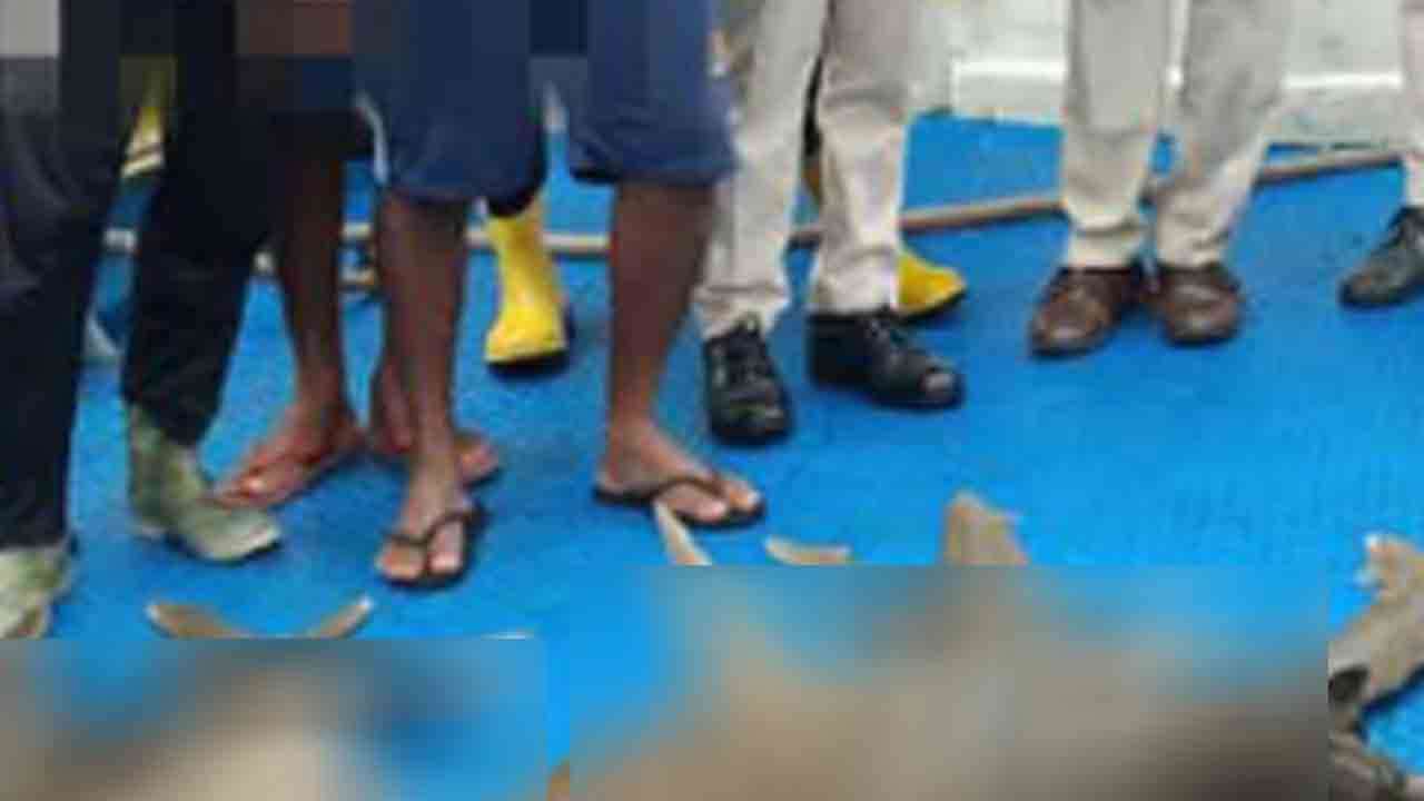 800 கிலோ சுறா மீன்களுடன் 7 நபர்கள் கைது!