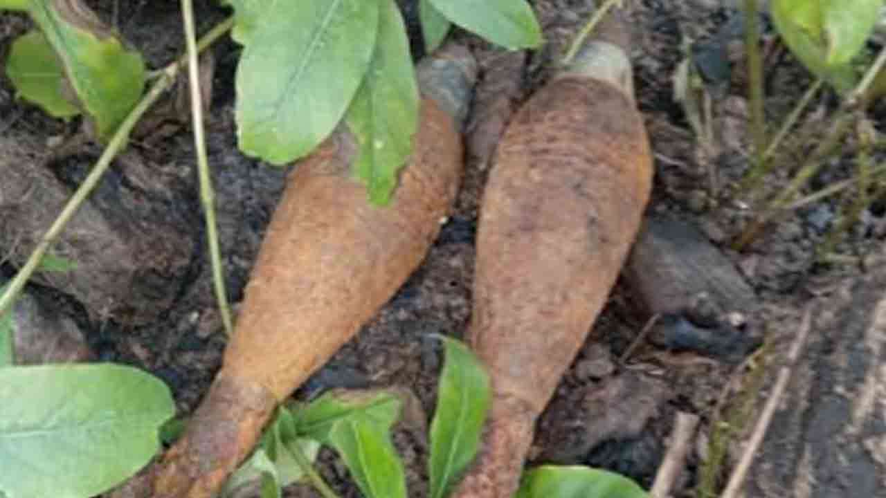 கிளிநொச்சியில் 2 மோட்டார் குண்டுகள் மீட்பு 