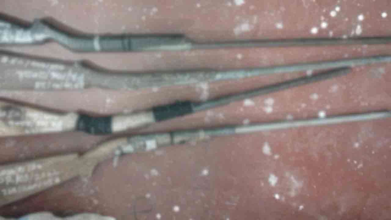 உள்நாட்டு துப்பாக்கிகளுடன் நால்வர் கைது