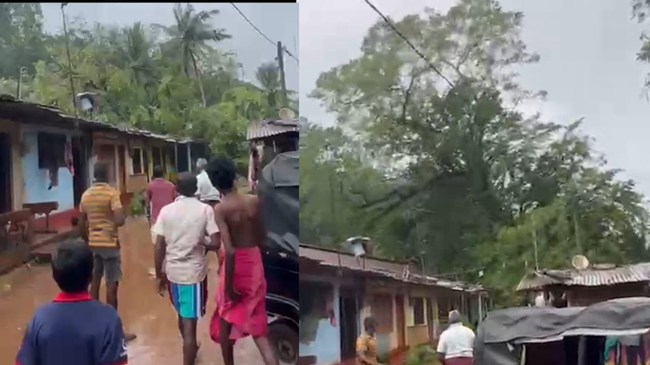 தொடங்கொடையில் லயன் கூரை மீது வீழ்ந்த பாரிய மரம்!