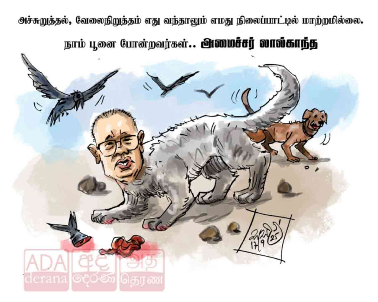 image?url=https%3A%2F%2Fada-derana-tamil