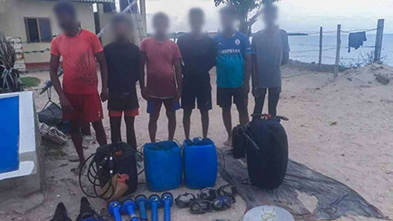 மன்னாரில் சட்டவிரோதமாக கடலட்டை பிடித்த  6 பேர் கைது