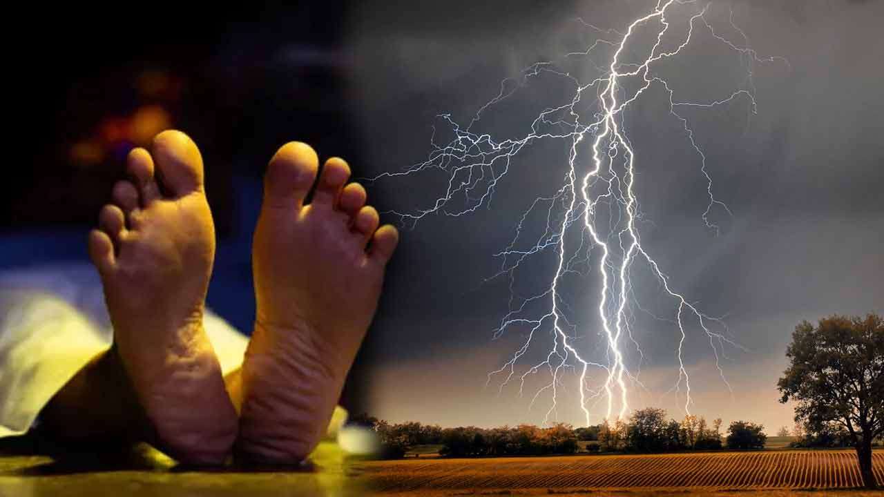 மின்னல் தாக்கியதில் விவசாயி உயிரிழப்பு