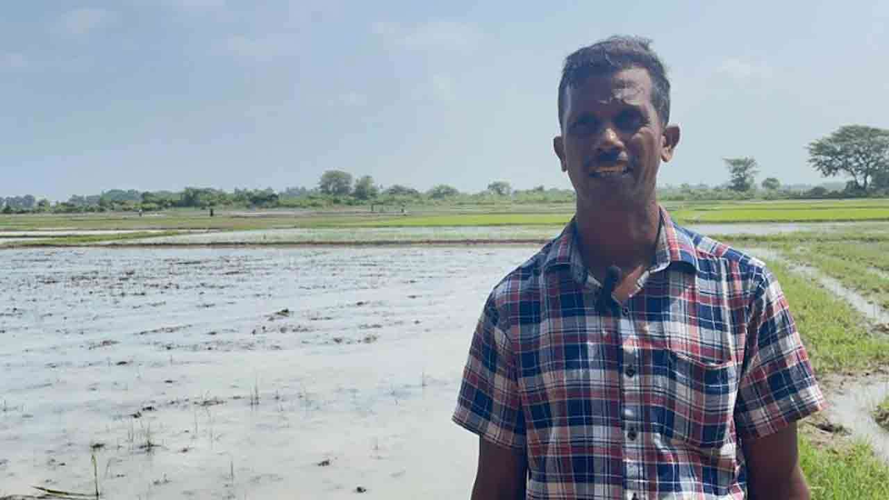 7,500 ஹெக்டேர் விவசாய செய்கை அழிவு!