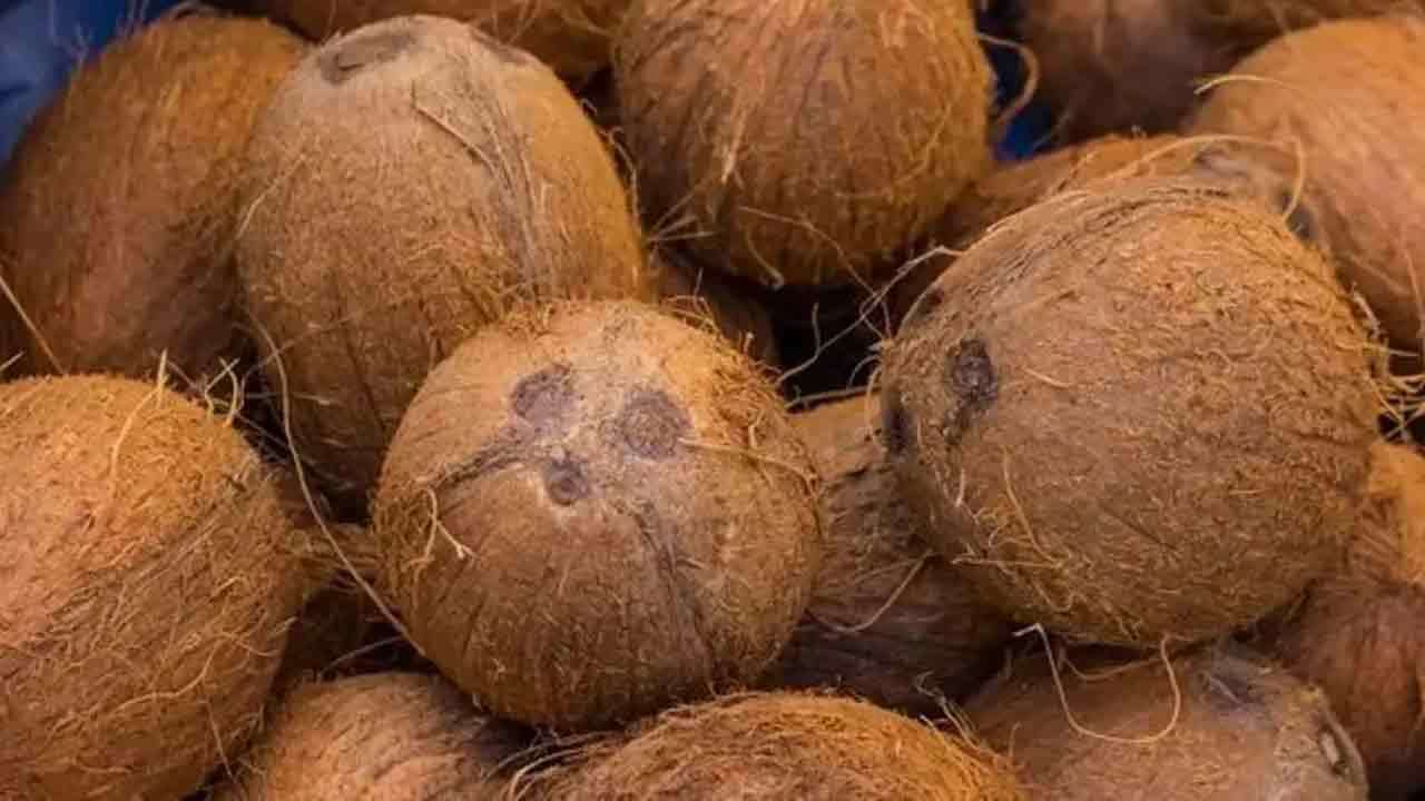 130 ரூபாவுக்கு தேங்காய் விற்பனை