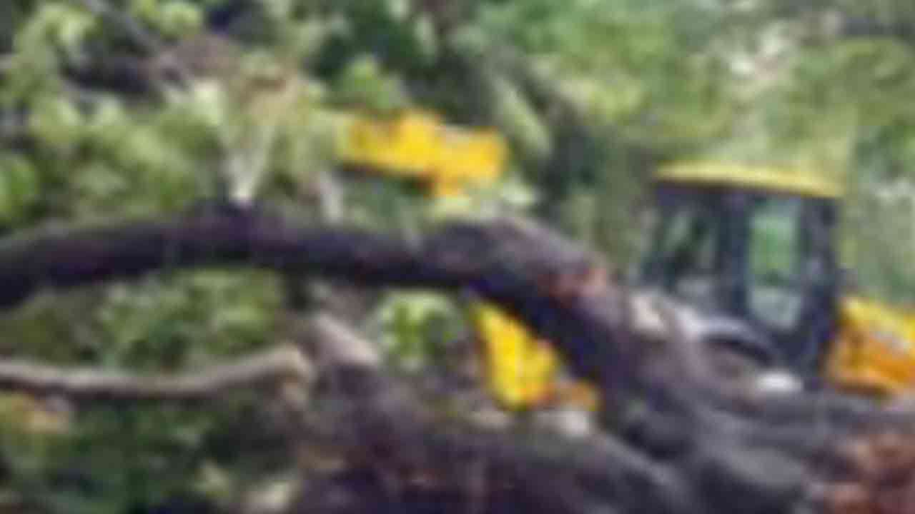 எல்ல - வெல்லவாய வீதியில் போக்குவரத்து தடை