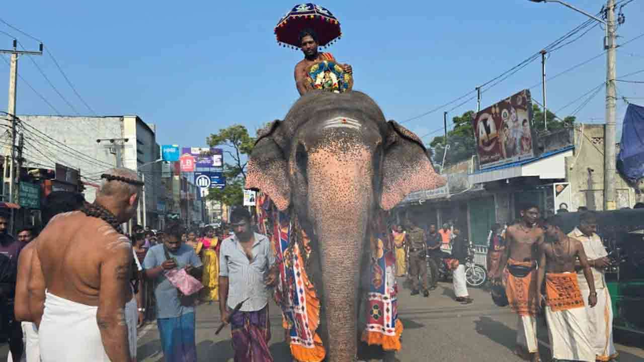 மார்கழிப் பெருவிழா!