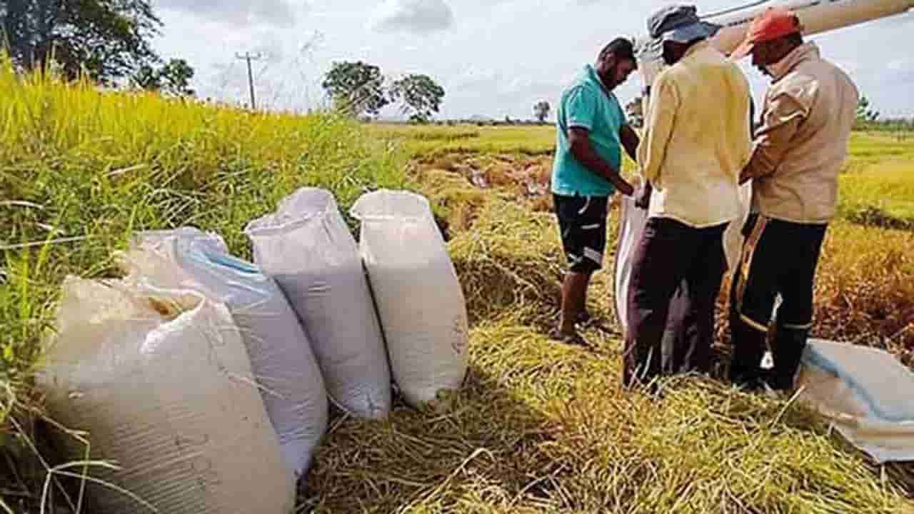 நெல் கொள்வனவிற்கு சலுகை வட்டி வீதத்தில் கடன்