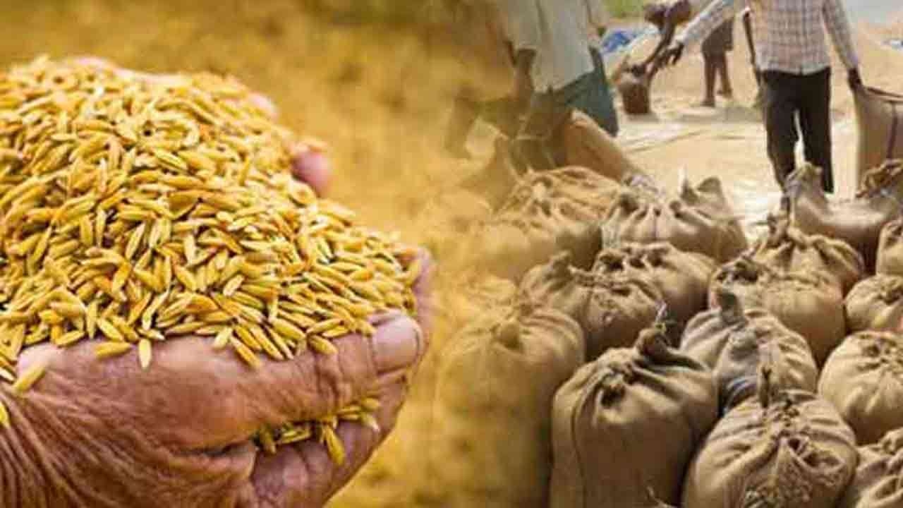 சதொச ஊடாக நெல் கொள்வனவு செய்ய திட்டம்