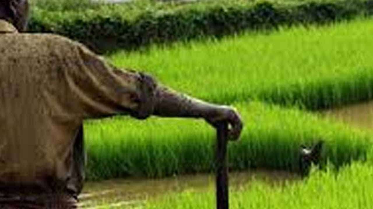 2024 சிறுபோக இழப்பீட்டு கொடுப்பனவுகளில் 90% விடுவிப்பு