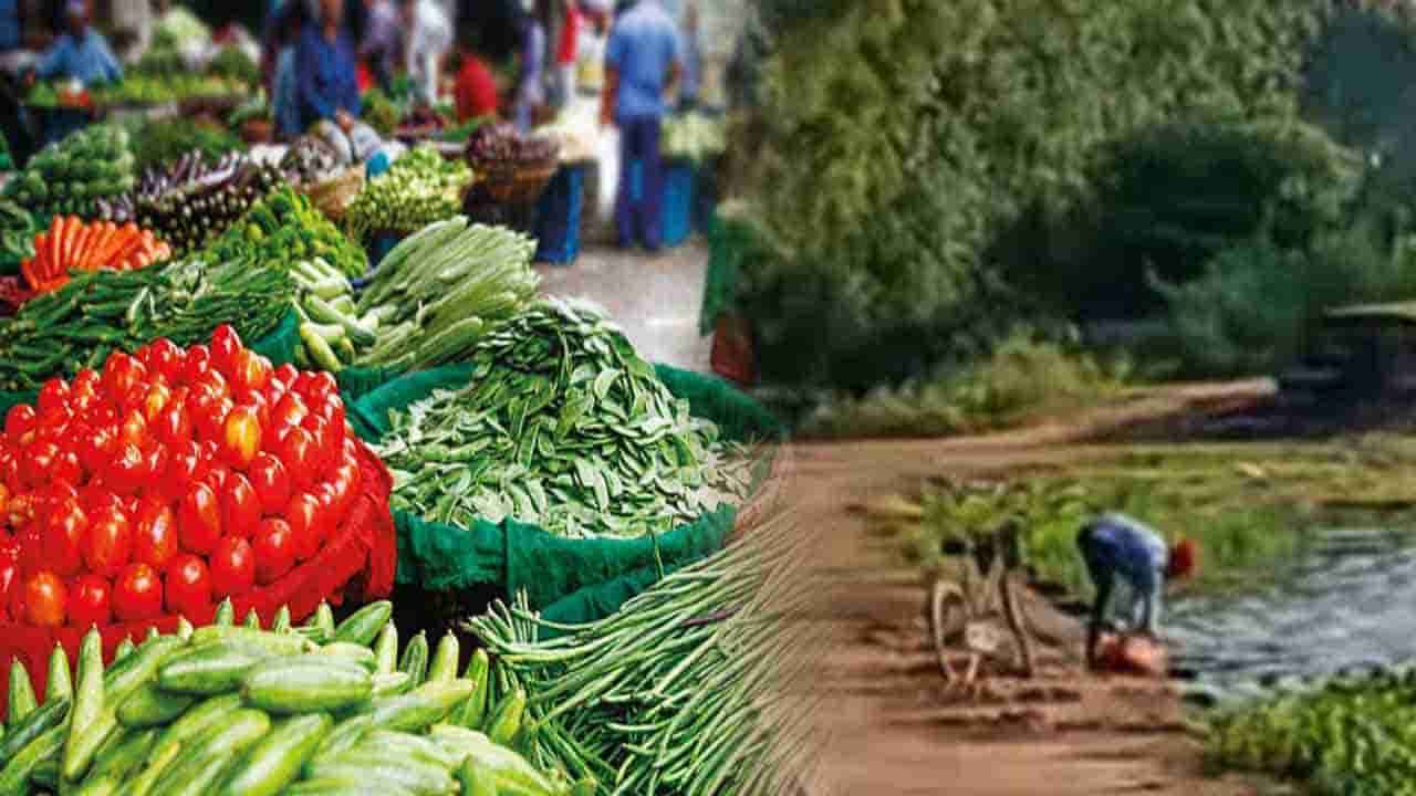 மரக்கறிகளை கழிவுகள் நிறைந்த குளத்தில் கழுவி விற்பனை!