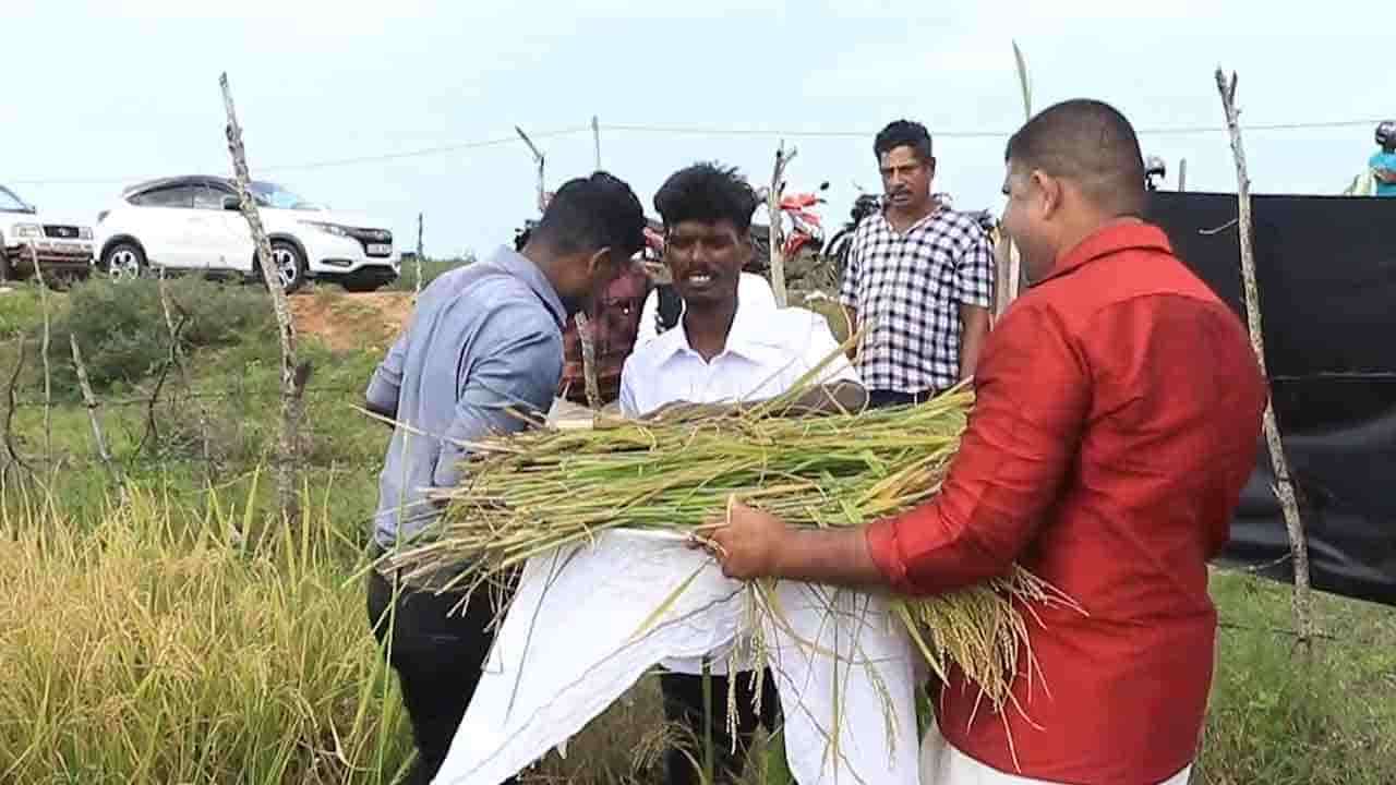 இலுப்பைக்கடவையில் இடம்பெற்ற அறுவடை விழா