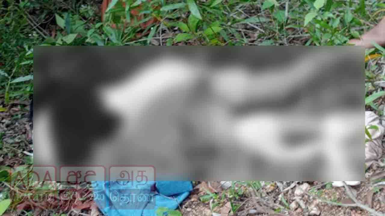 மதவாச்சி பகுதியில் பெண் ஒருவரின் சடலம் காயங்களுடன் மீட்பு