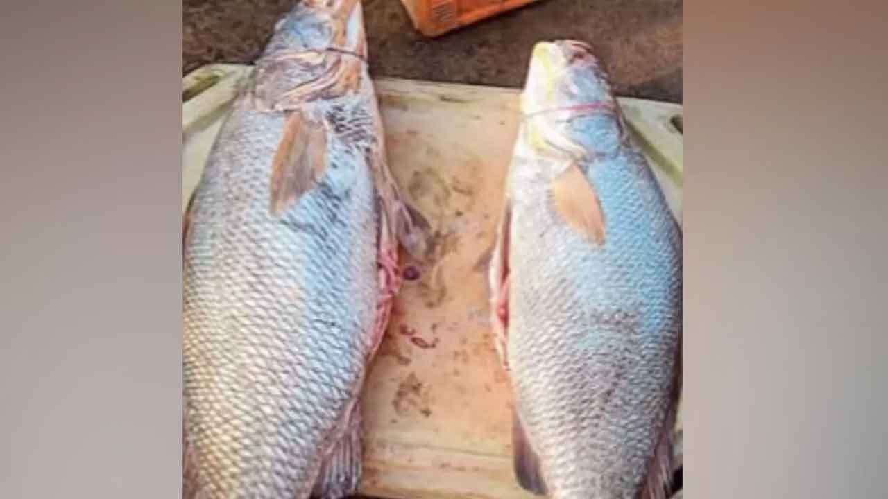 சுகாதார அமைச்சரின் திடீர் விஜயம்