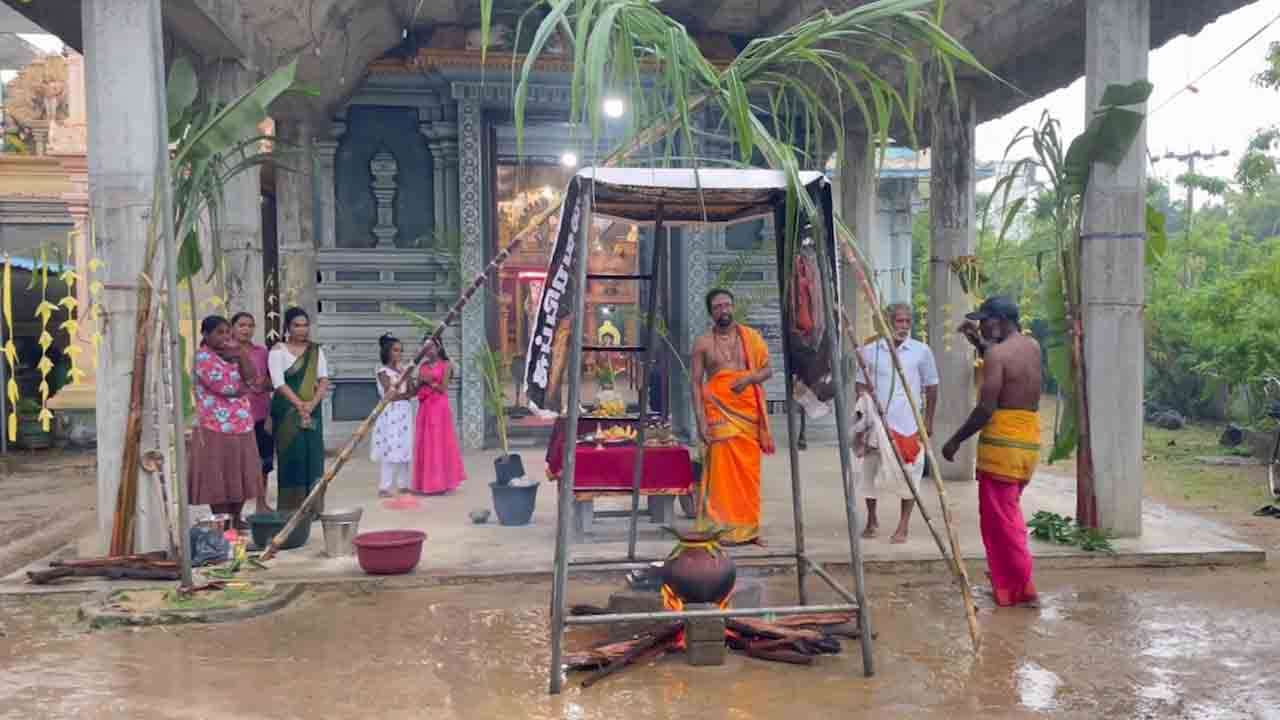 மன்னாரில் தைப்பொங்கல் கொண்டாட்டம்