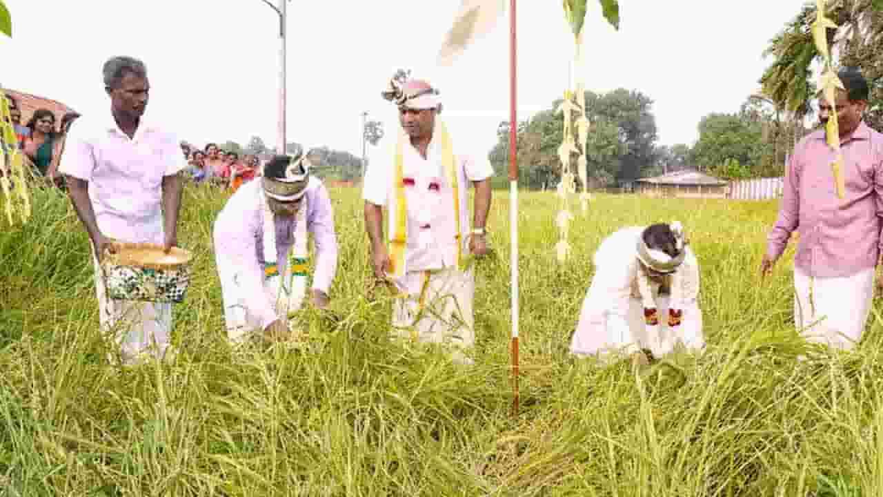 வடக்கு மாகாண பொங்கல் விழா