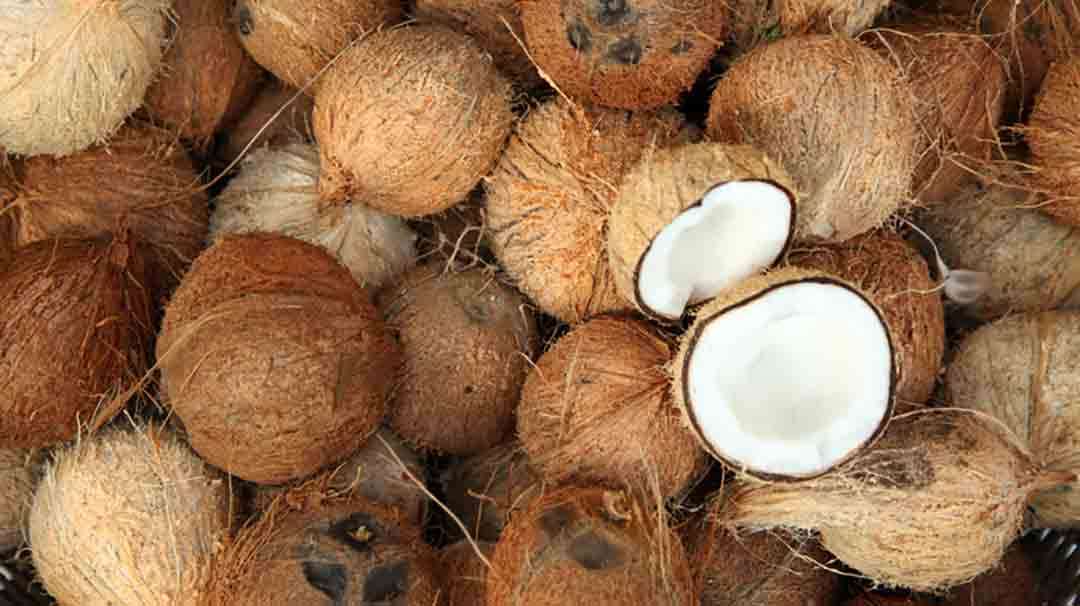 இலங்கையில் நிலவும் தற்போதைய தேங்காய் நெருக்கடியை சமாளிக்க அரச தலையீட்டை கோரும் இலங்கை தென்னை கைத்தொழில் சம்மேளனம் (CCCI)