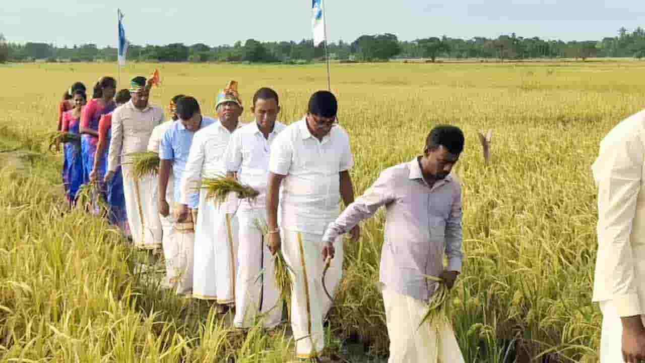 விவசாய நவீனமயமாக்கல் செயற்திட்ட அறுவடை விழா!