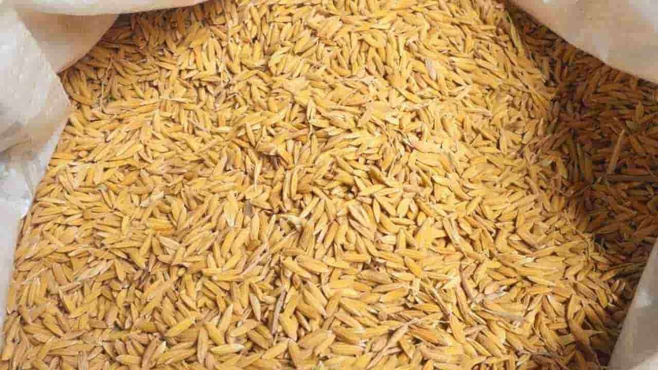 நெல்லை சேமிப்பதற்கு அரசாங்கத்தில் பதிவு செய்ய வேண்டும்