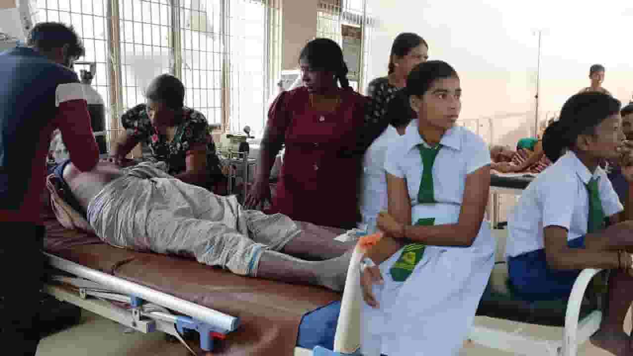 குளவிக்கொட்டுக்கு இலக்கான மாணவர்கள் உள்ளிட்ட 15 பேர்!