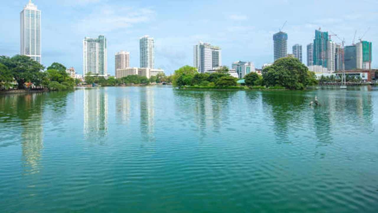 பேர வாவியில் பறவைகள் உயிரிழப்பு - காரணம் வௌியானது