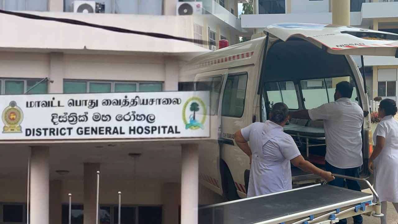 குளவி கொட்டியதில் 9 பேர் வைத்தியசாலையில் அனுமதி
