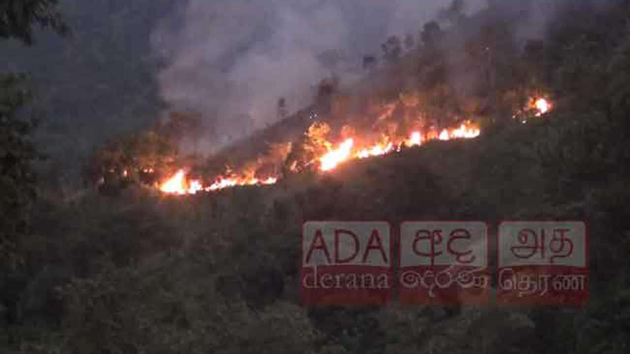 சாரதிகளுக்கு விடுக்கப்பட்டுள்ள எச்சரிக்கை