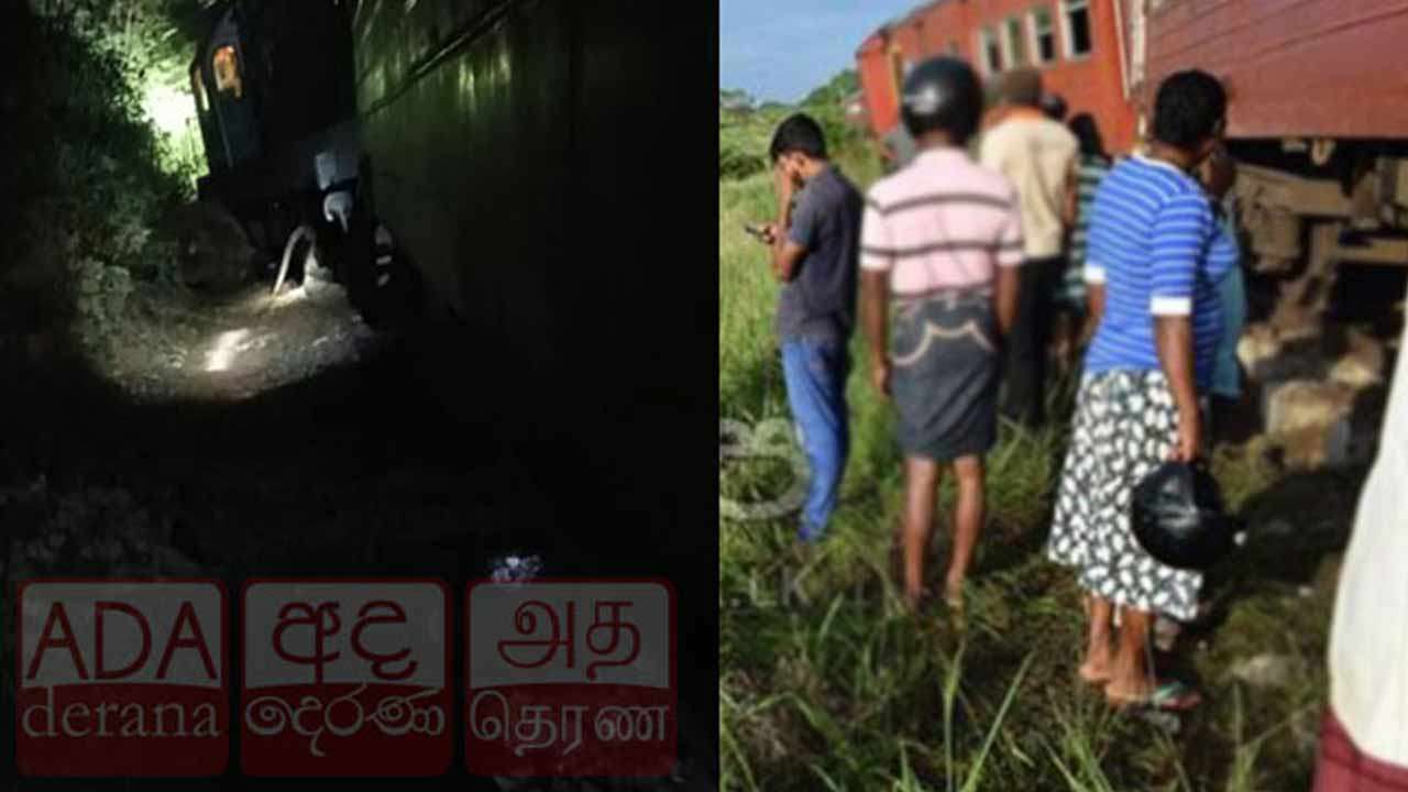 ரயிலுடன் மோதி யானைக் கூட்டம் பலி - போக்குவரத்து பாதிப்பு