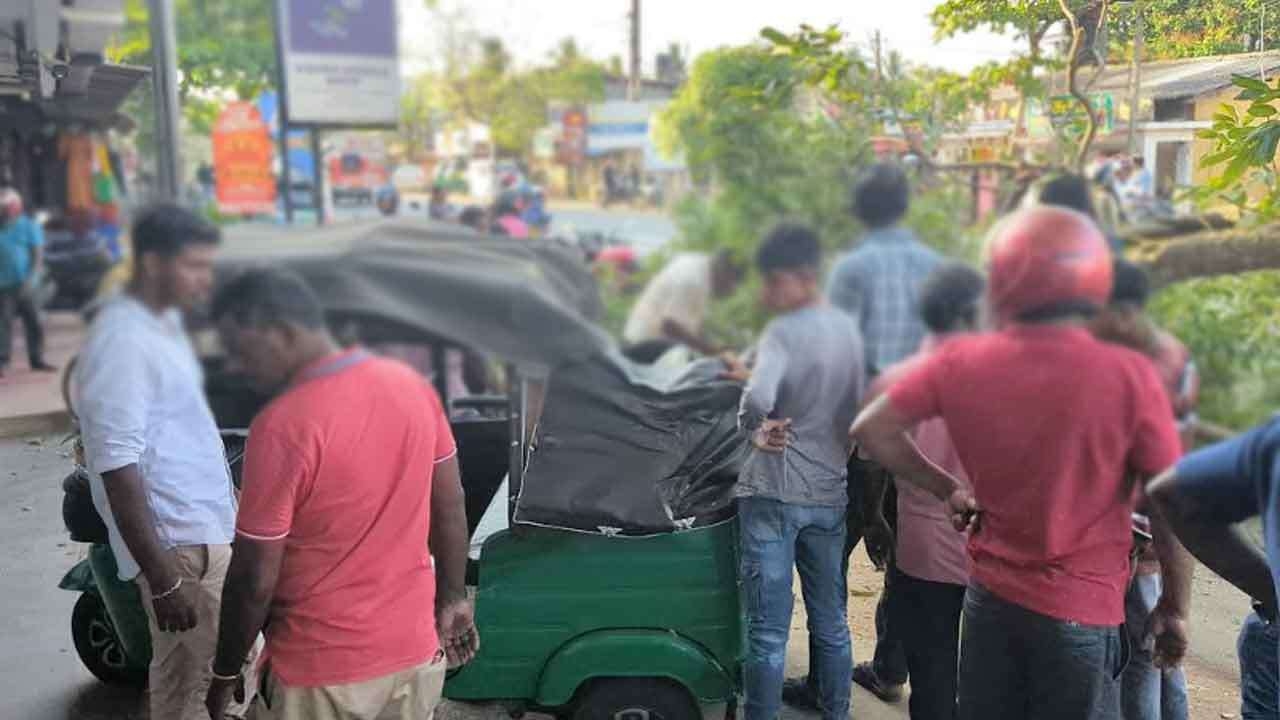 வவுனியாவில் முச்சக்கர வண்டியின் மீது முறிந்து விழுந்த மரம்