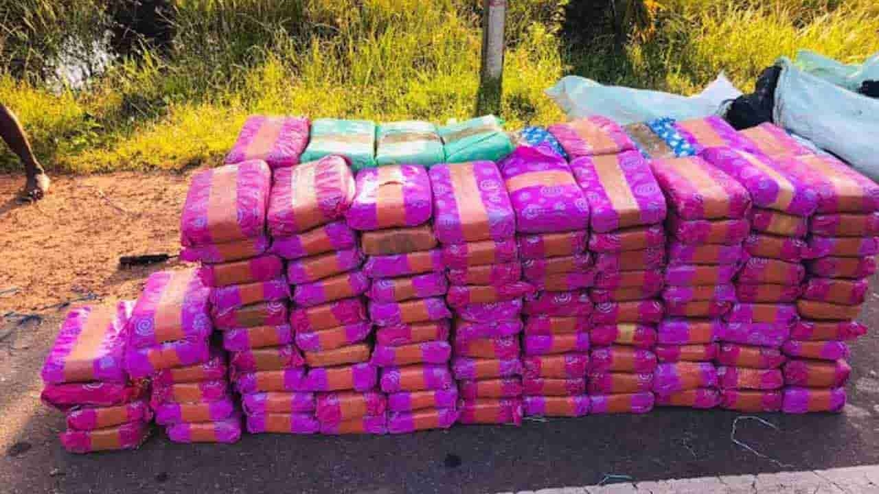400 கிலோவுக்கும் அதிக கேரள கஞ்சா மீட்பு