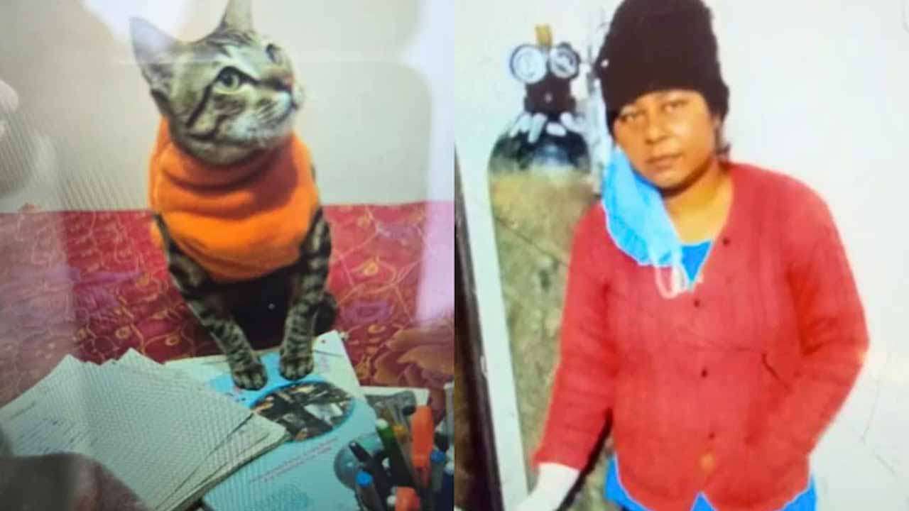 செல்ல பூனை இறந்த துக்கம் - காத்திருந்து தற்கொலை செய்த பெண்