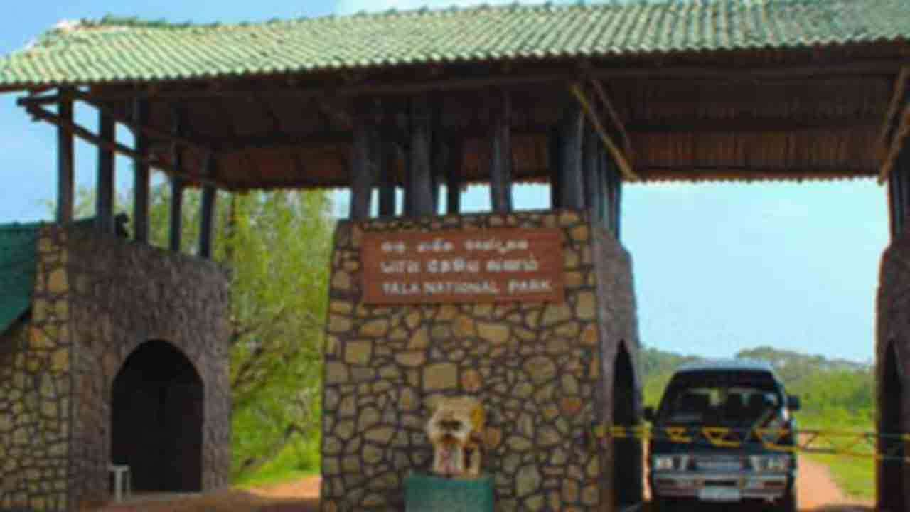 யால தேசிய பூங்காவின் சில வீதிகள் திறப்பு