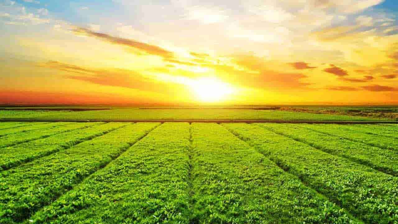 நாடு முழுவதும் சீரான வானிலை