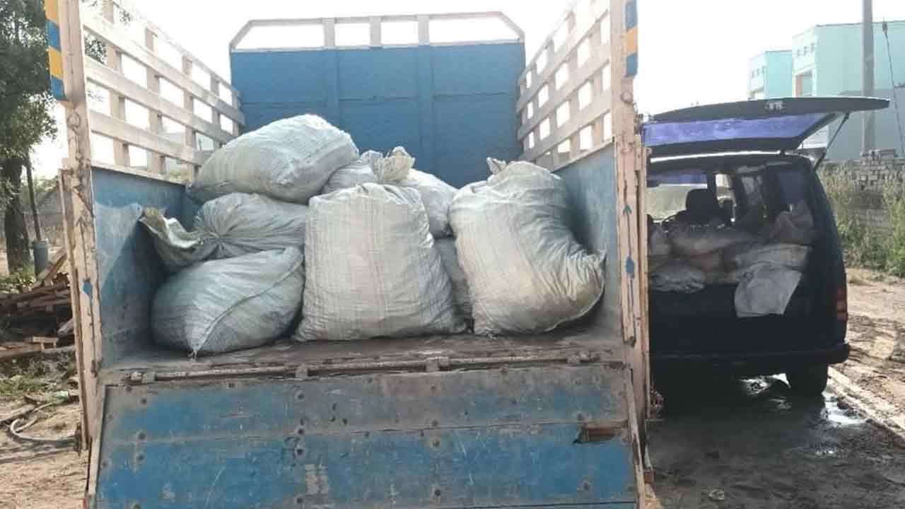 இலங்கைக்கு கடத்தப்படவிருந்த பாரியளவான கடல் அட்டைகள் 