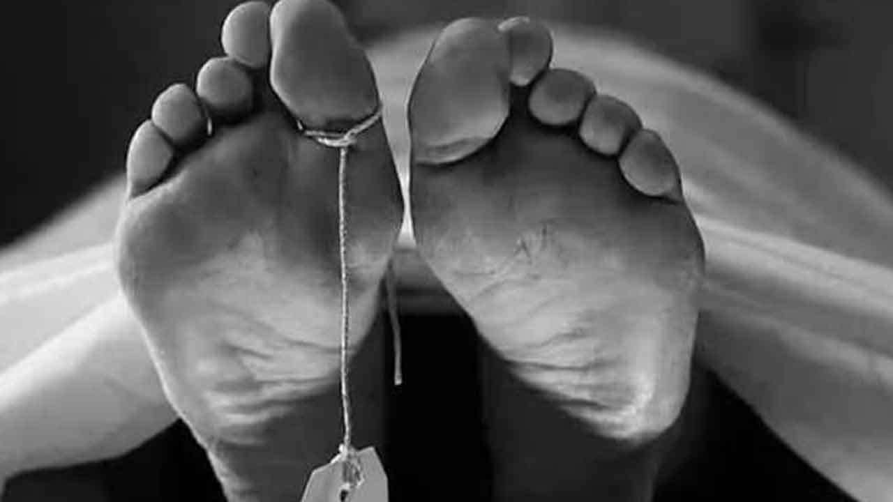 கொள்ளையிட்ட நபர் மீது கல்வீச்சு தாக்குதல்