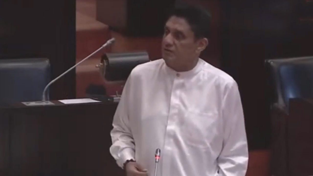 யானை - மனித மோதலுக்கு நிலையான தீர்வு வேண்டும்