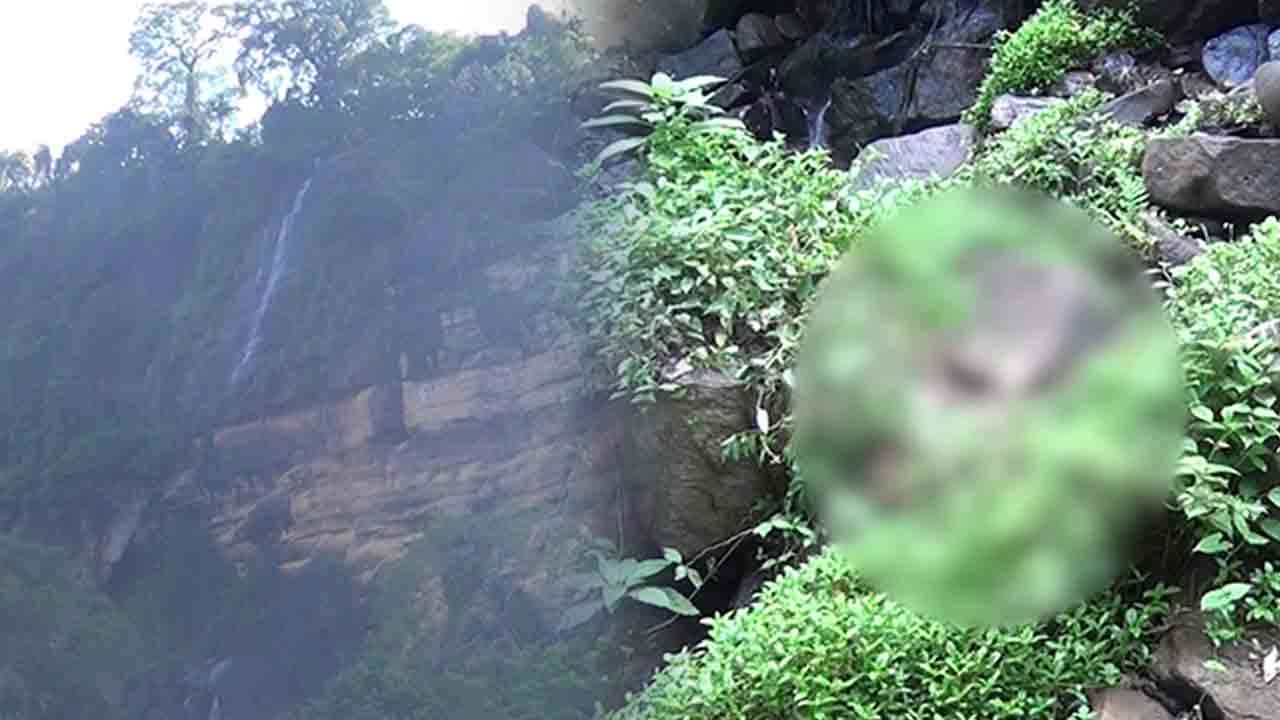காட்டுக்கு சென்ற இளைஞனுக்கு நேர்ந்த பரிதாபம்