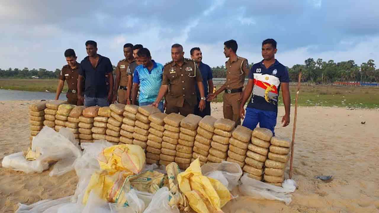 யாழில் 300 கிலோவுக்கும் அதிகமான கஞ்சா பறிமுதல்