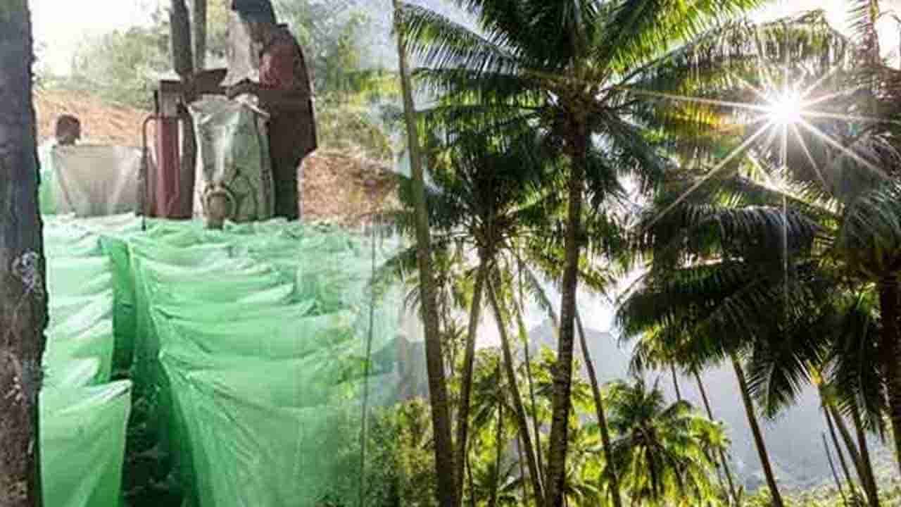 மார்ச் 30 முதல் தென்னை விவசாயிகளுக்கு நிவாரண விலையில் உரம்